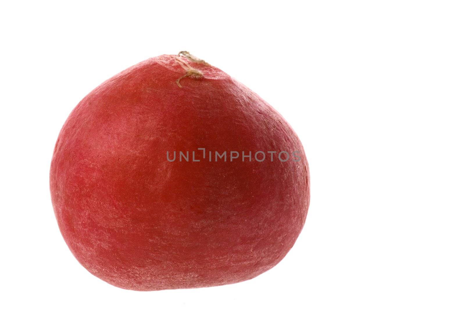Isolated macro image of a red radish.