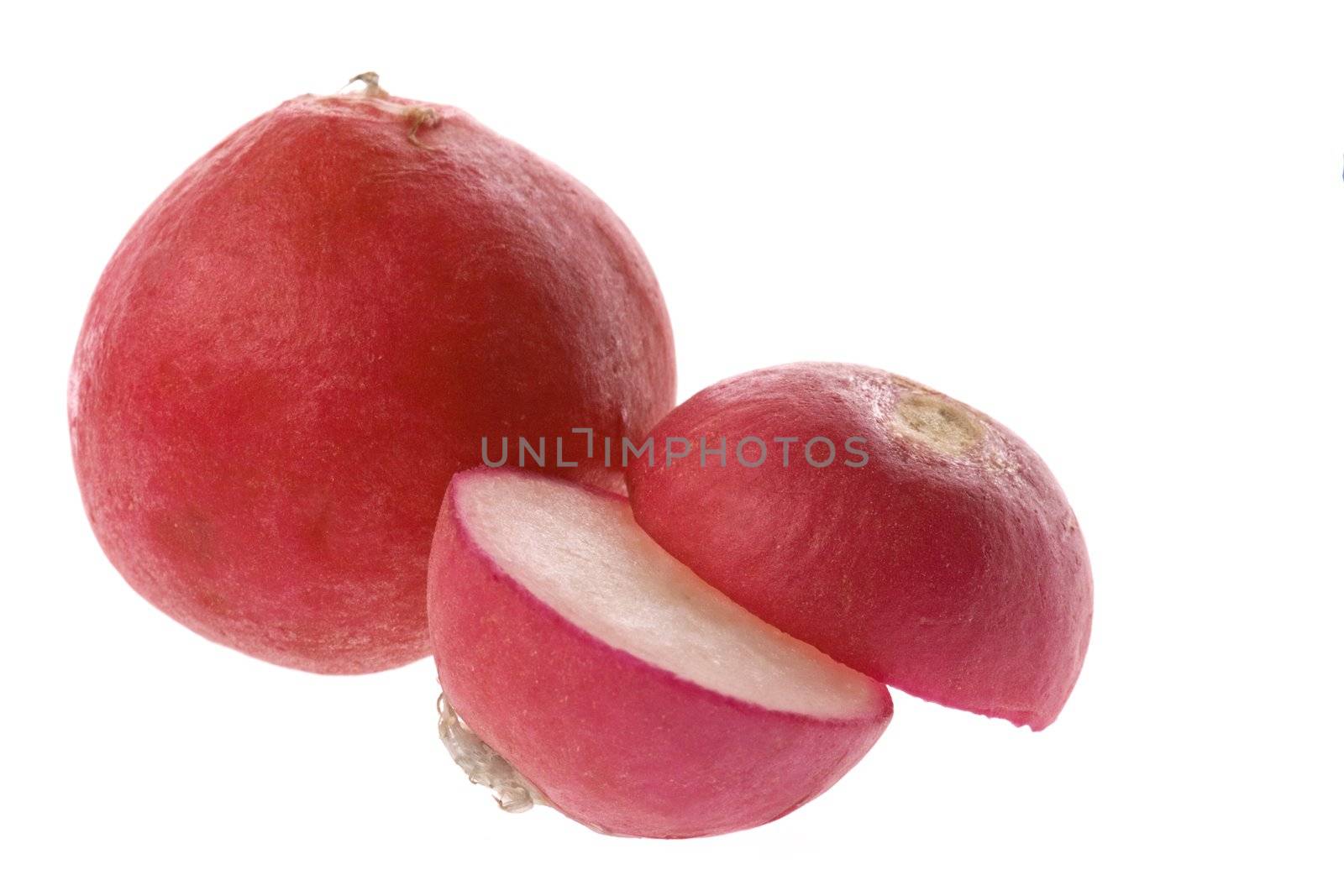 Isolated macro image of red radish.