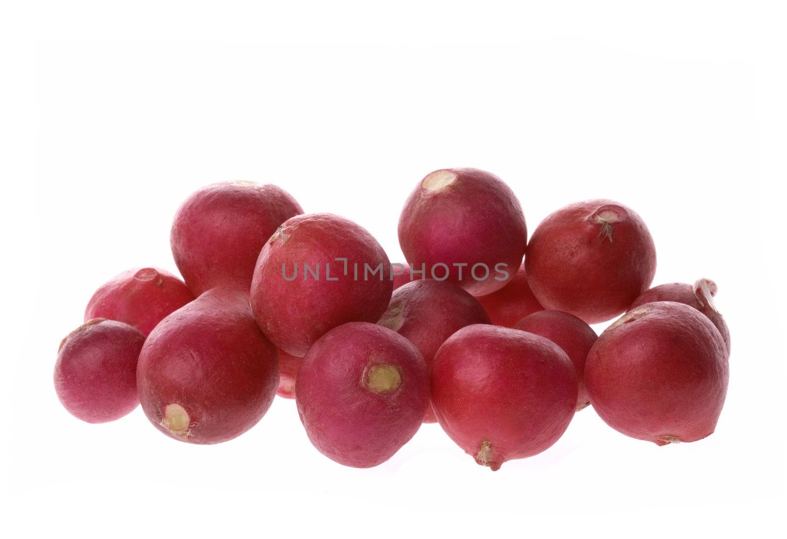 Isolated macro image of red radish.