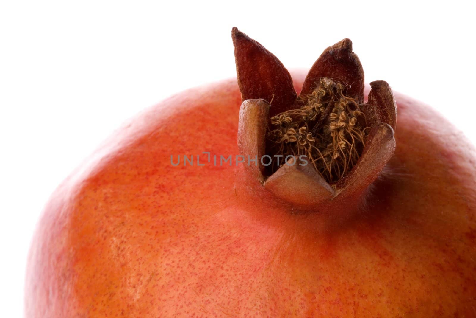 Isolated macro image of a Pomegranate.