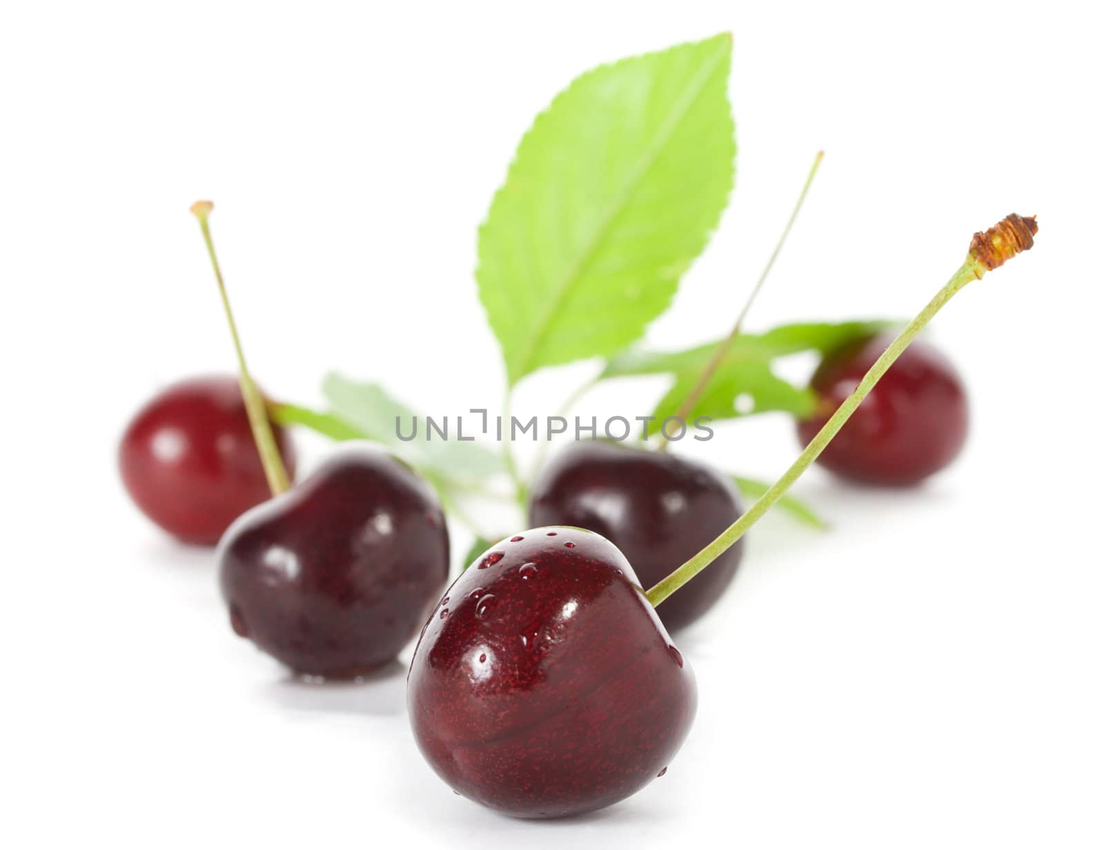 sweet cherries with leaves, isolated on white