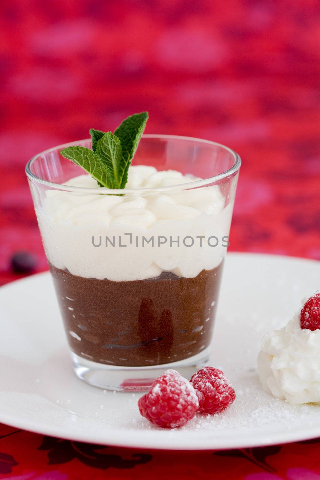 Delicious chocolate dessert with a mint leave