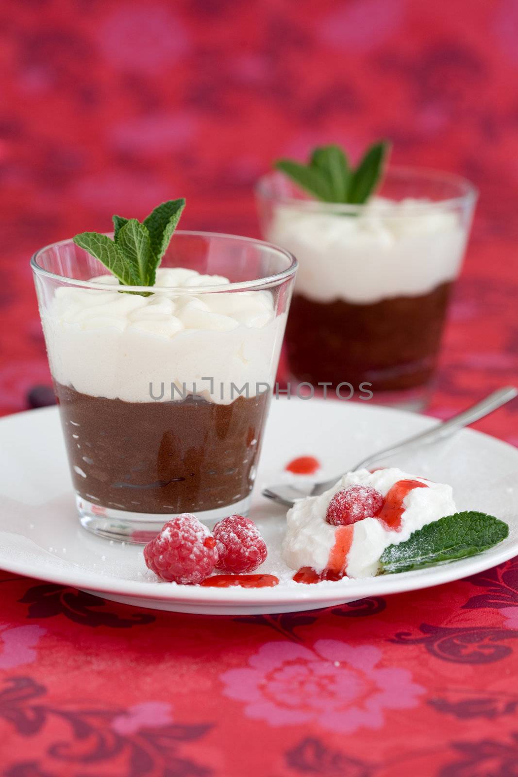 Delicious chocolate dessert served on a plate with raspberries and whipped cream