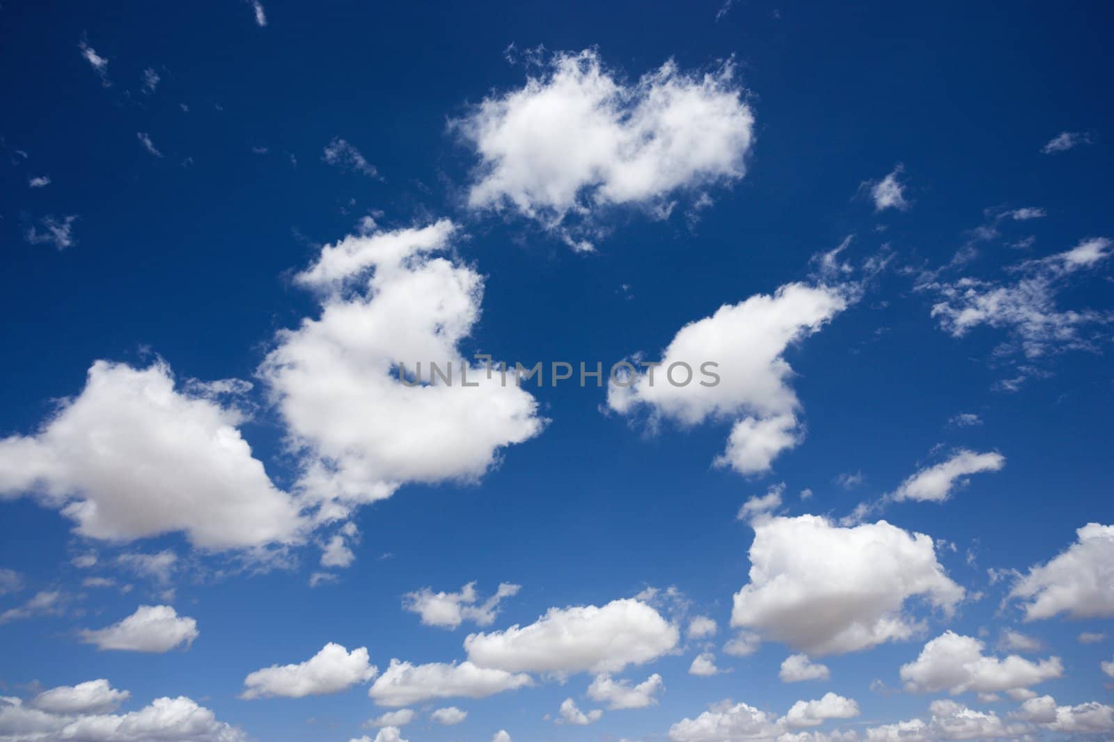 Fluffy cumulus clouds in blue sky.