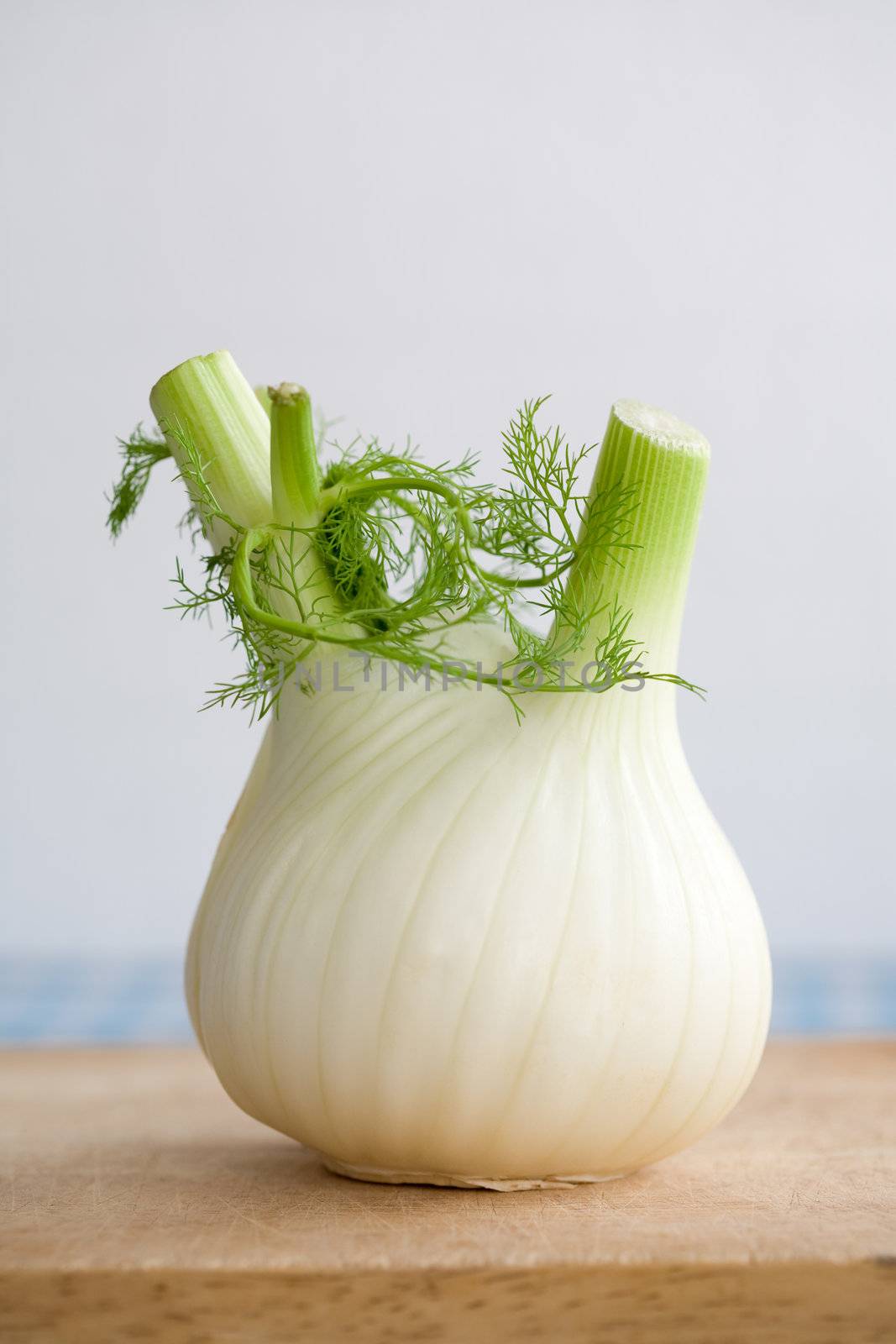 A whole fennel on a wooden chopping board