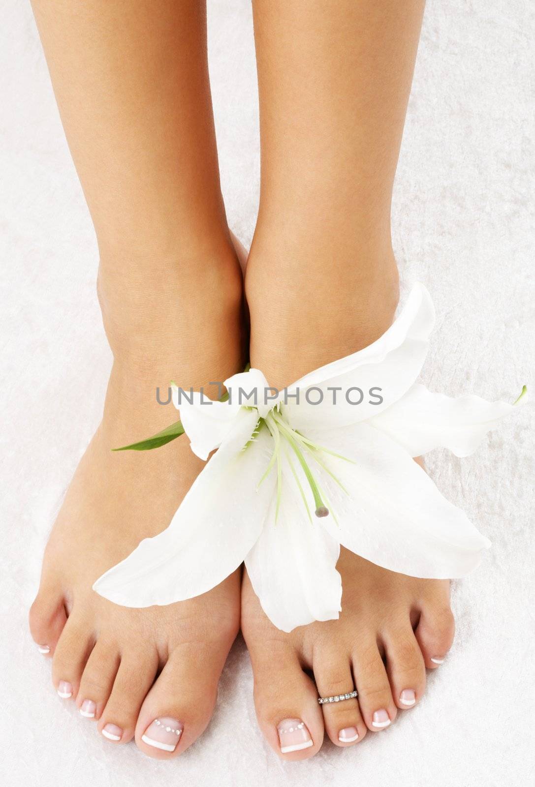 feet with madonna lily by dolgachov