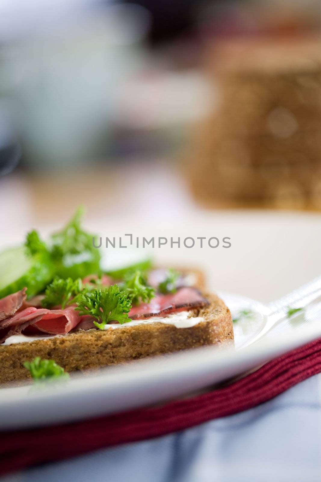 Delicious healthy sandwich (shallow dof) with roast beef, cucumber and parsley