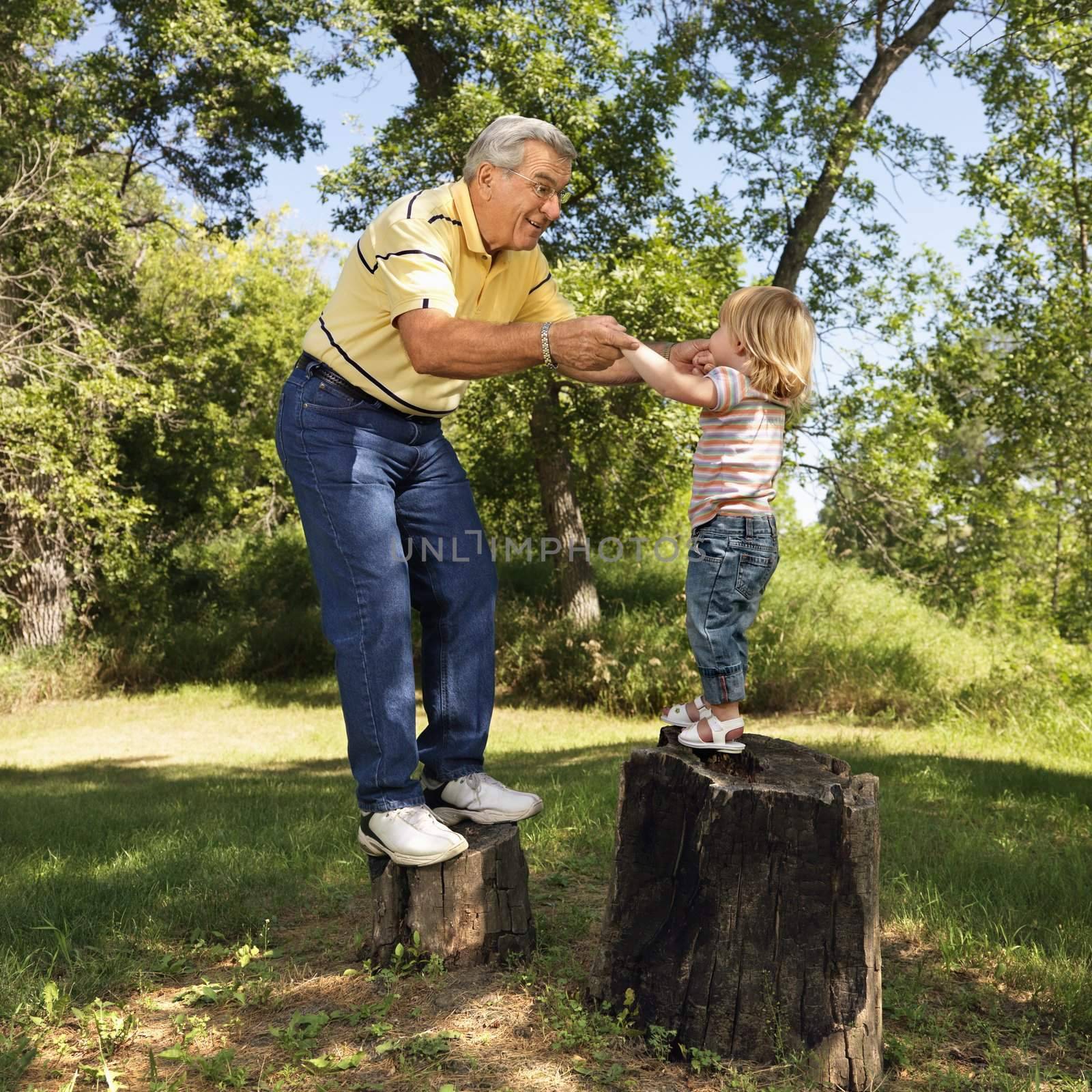 Grandfather and granddaughter playing outside holding hands balancing on stumps.