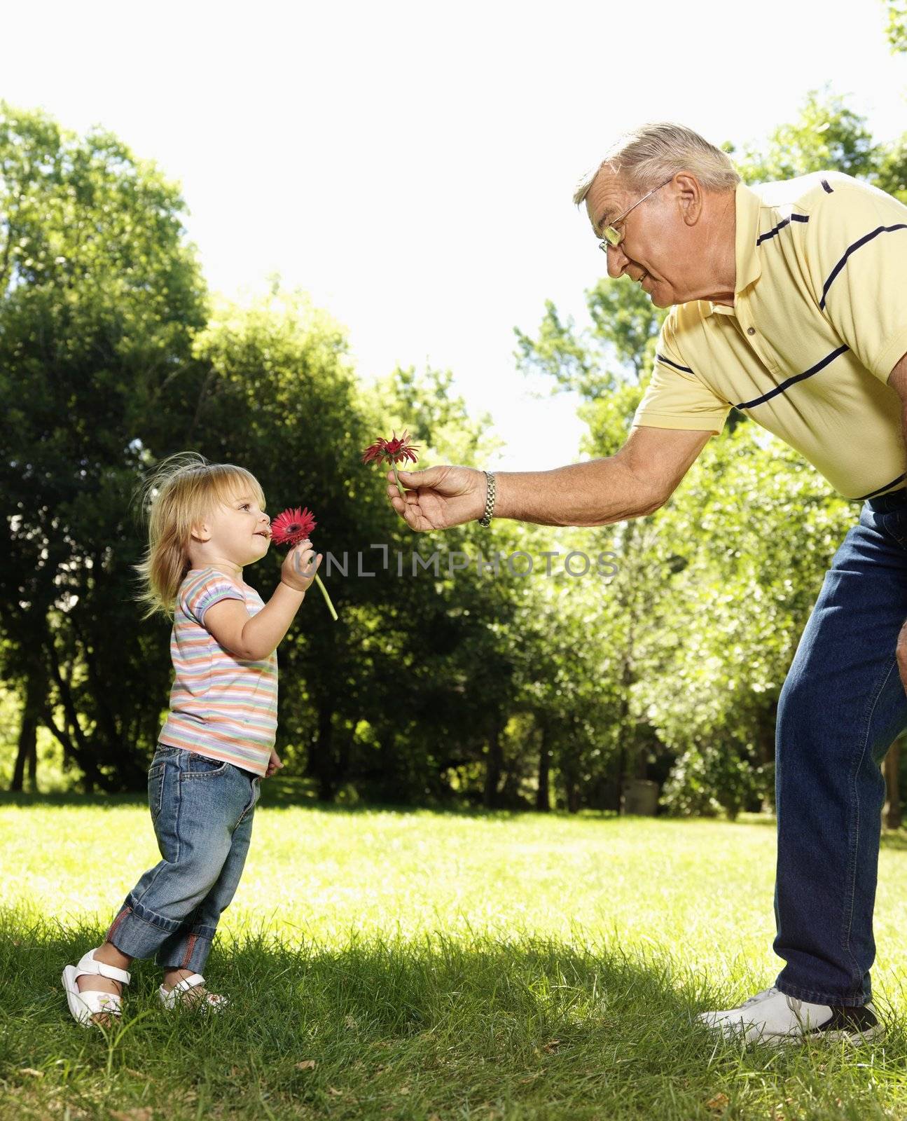 Grandfather and granddaughter holding flowers and smelling.