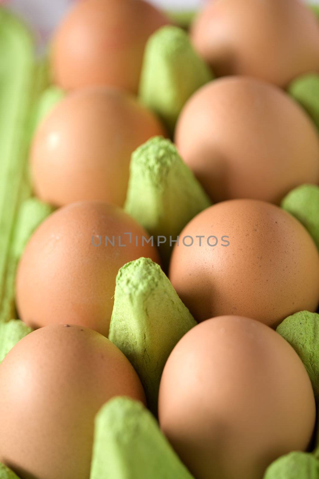 Eggs by Fotosmurf