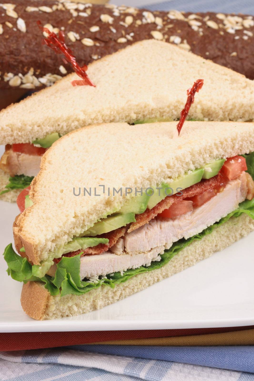 delicious sandwich by tacar