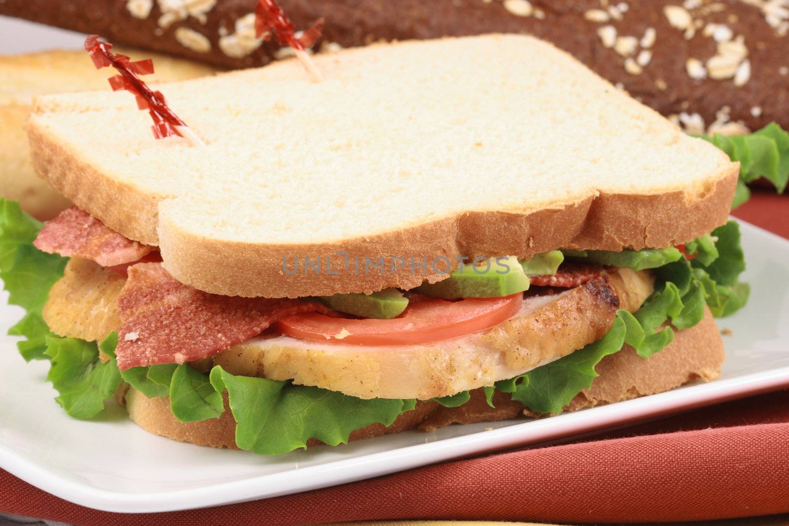 delicious sandwich by tacar