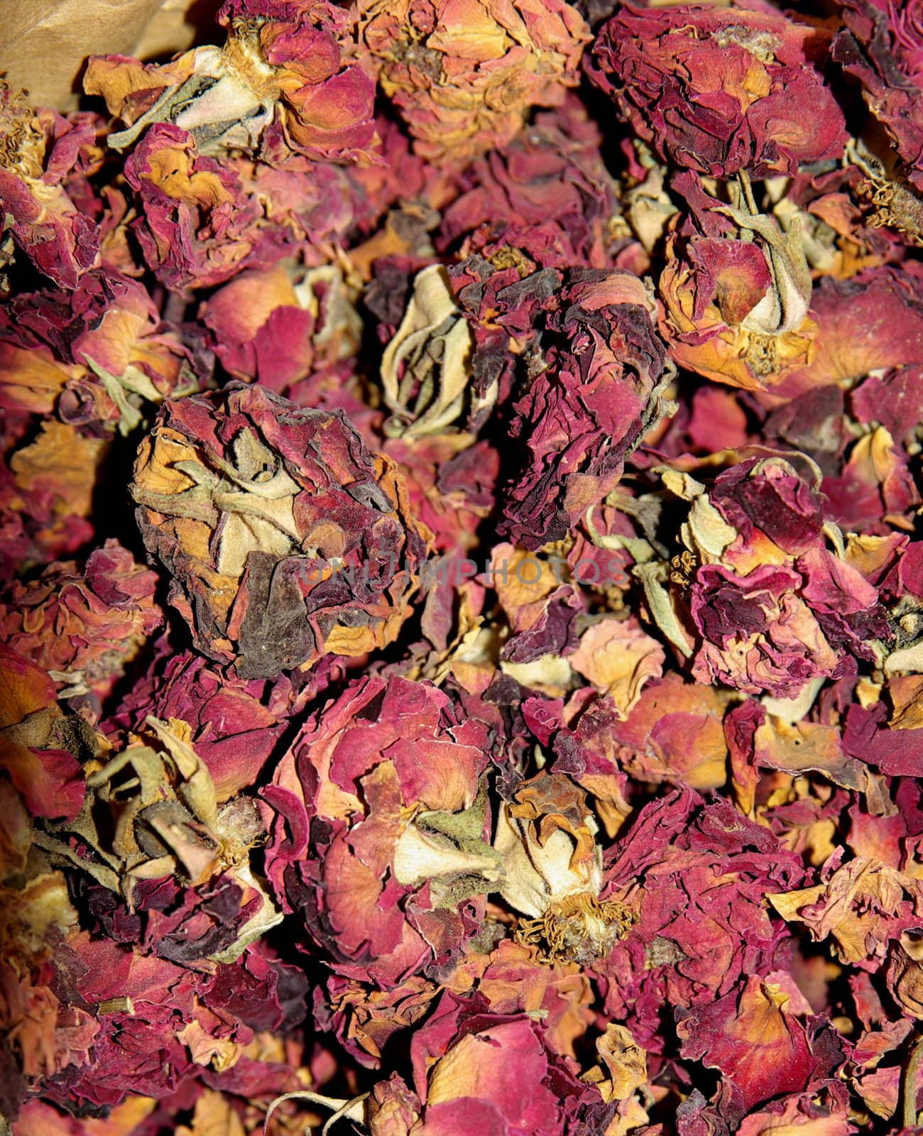 Dried rose petals by FotoFrank
