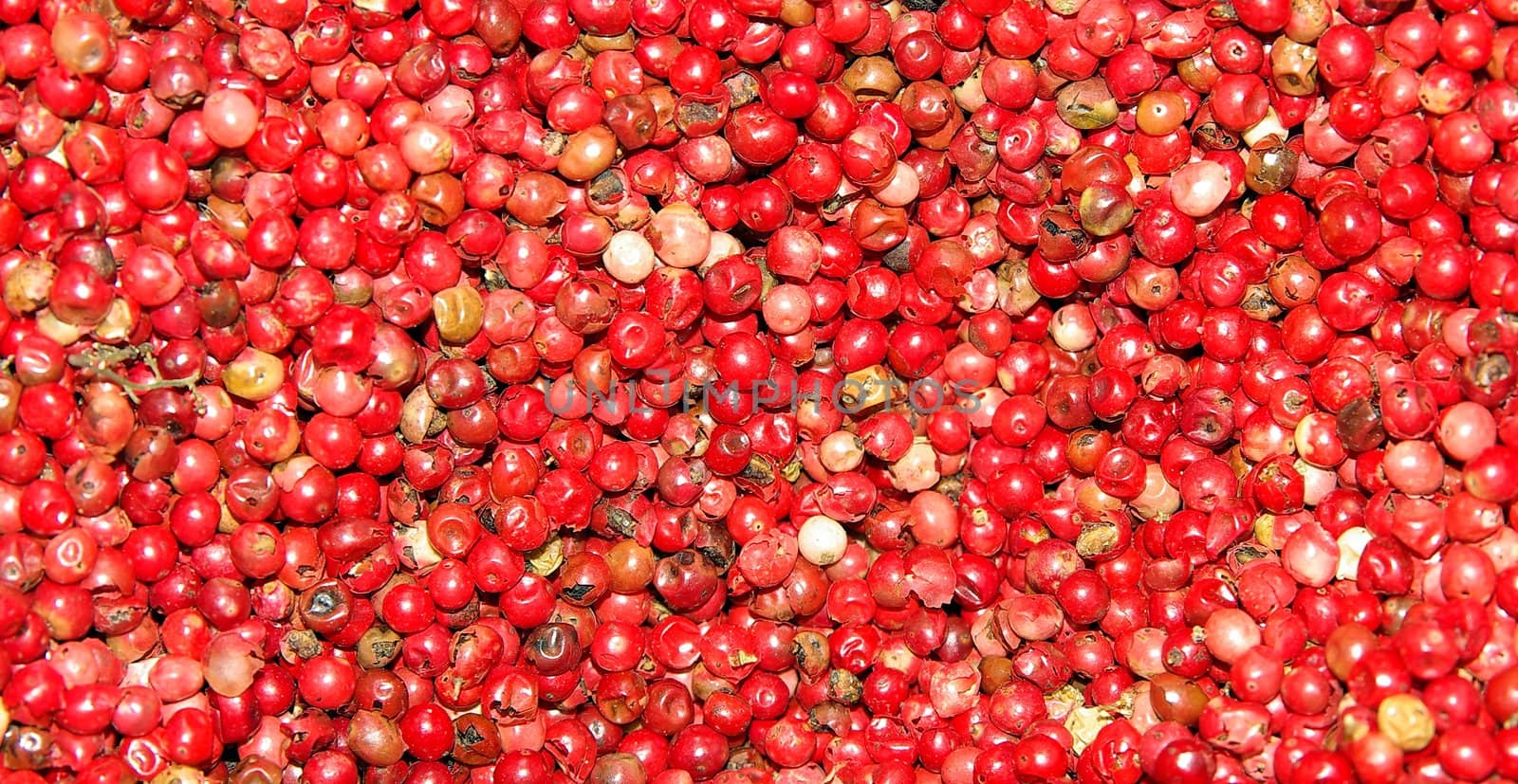 red peppercorns by FotoFrank