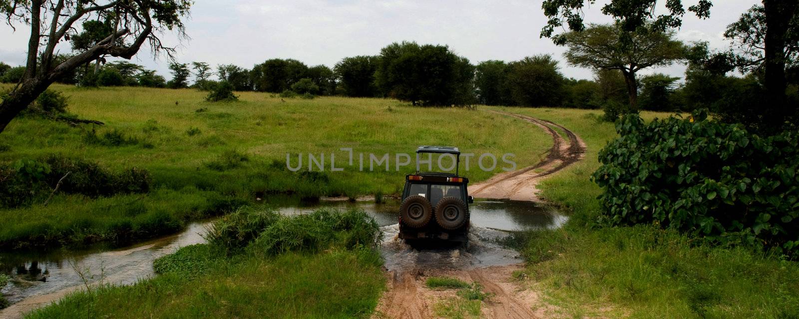 A safari jeep drives through a stream in Serengeti