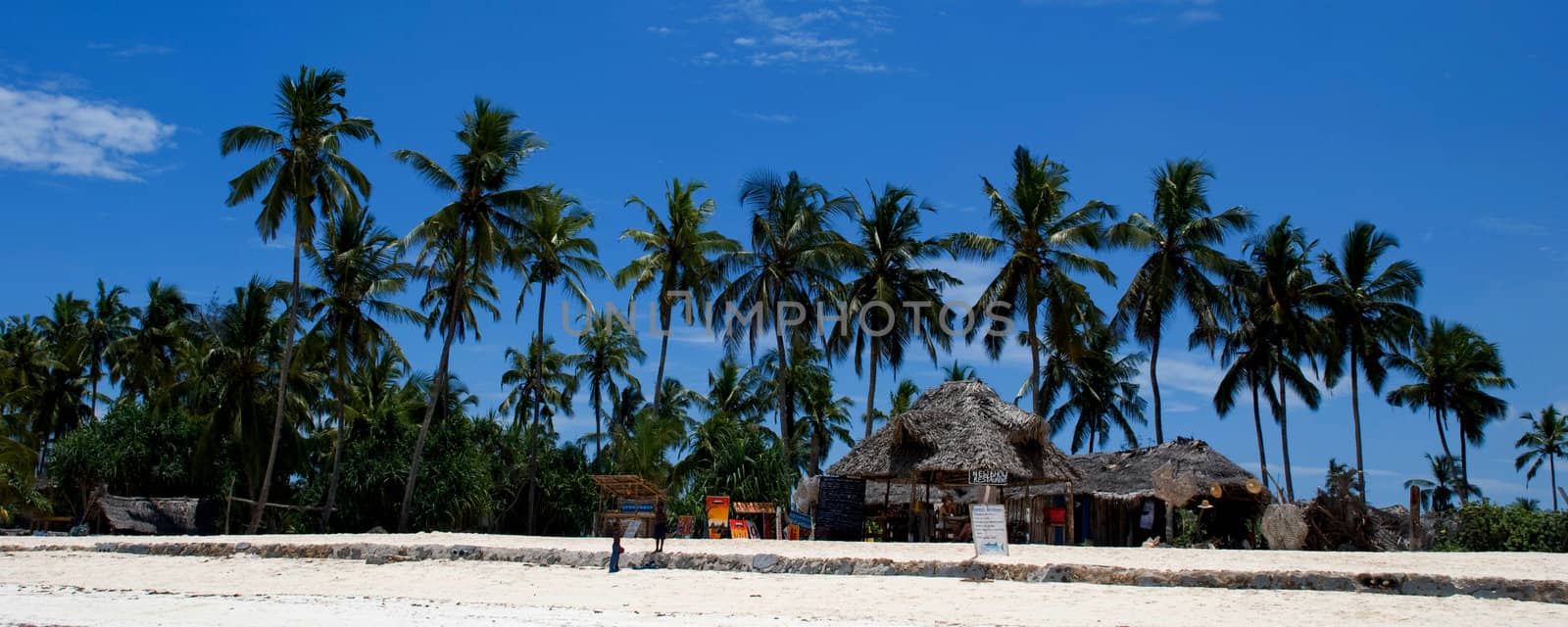 Huts under palm trees on a beach with blue sky