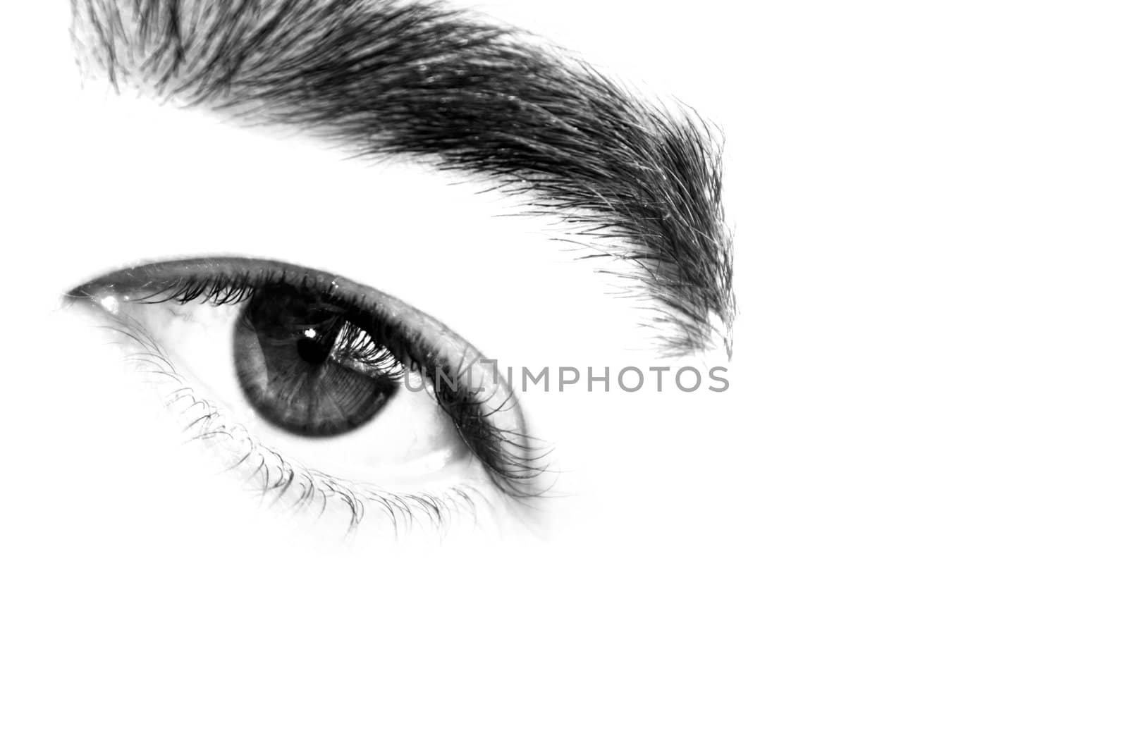 Abstract closeup of a mans eye and eyebrow in high contrast isolated over white.  Shallow depth of field.