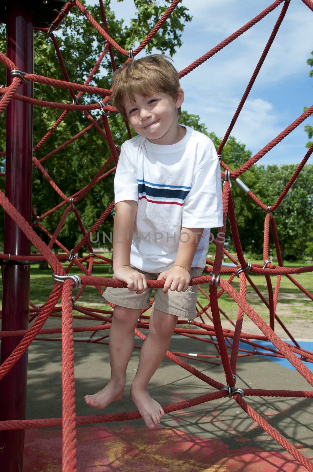 children at play on a sunny day in the park