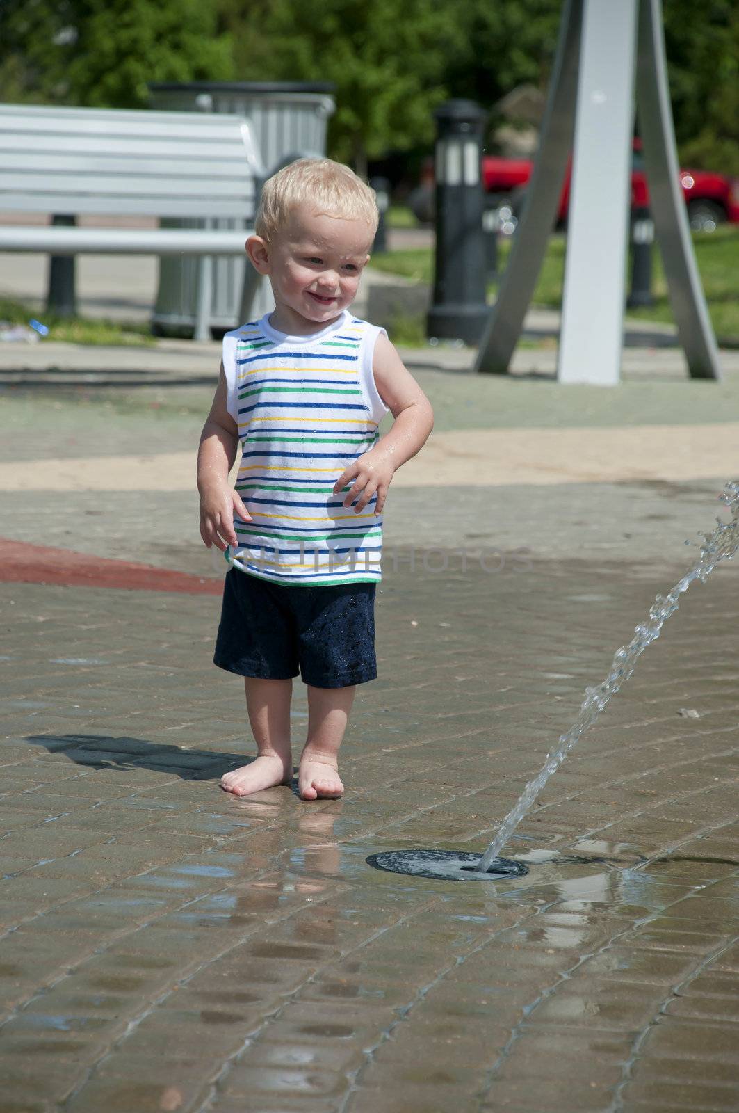 children at play on a sunny day in the park