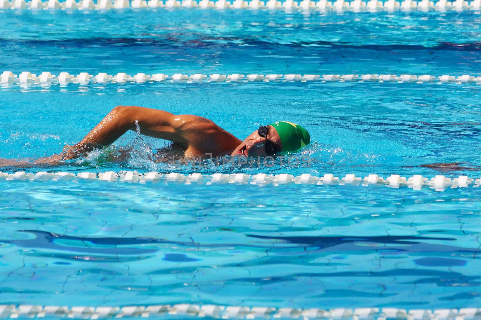 Muscular swimmer crowls in pool under bright sun