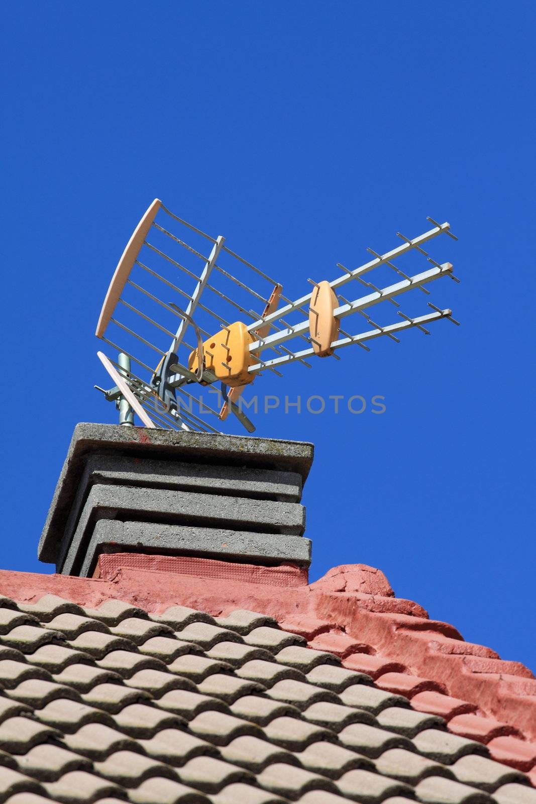 Antenna by mariusz_prusaczyk