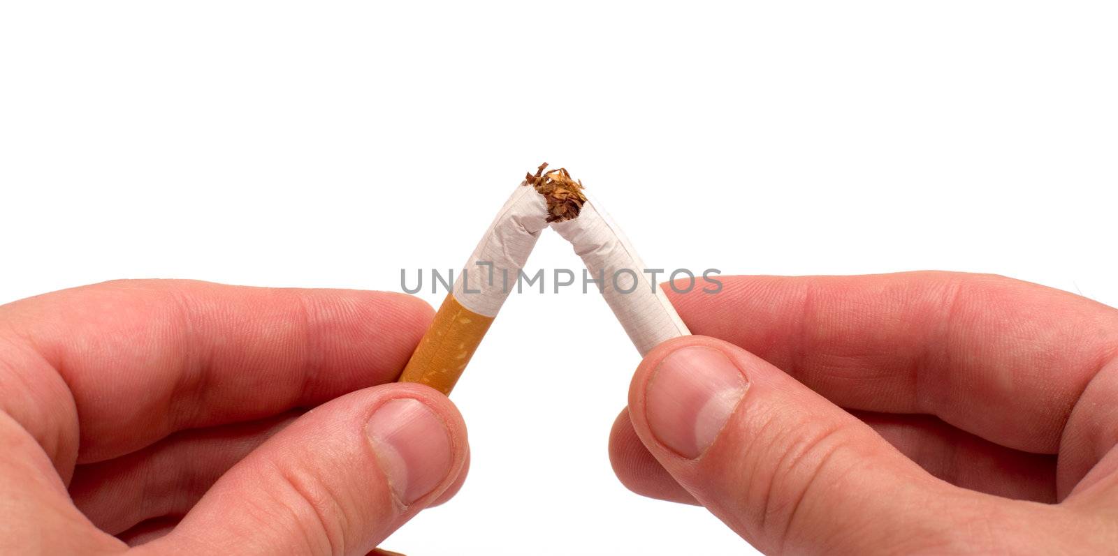 Close up mans hands breaking a cigarette it is isolated on a white background.