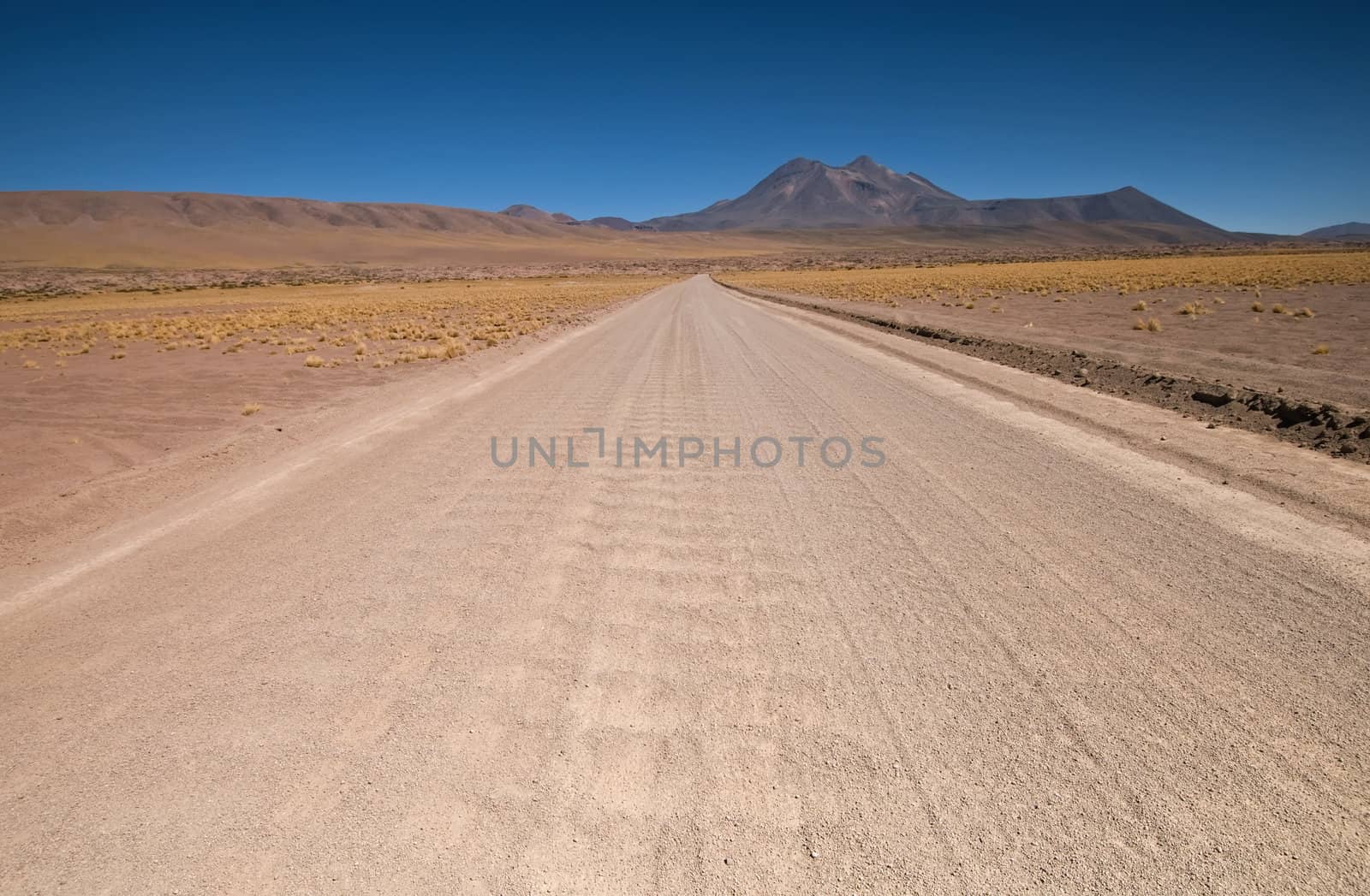 Desert Road by urmoments