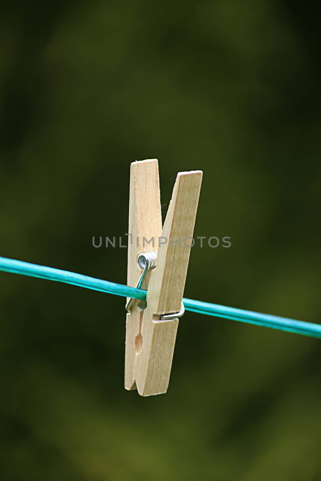 A wooden cloths peg on a green plastic washing line. Close up.