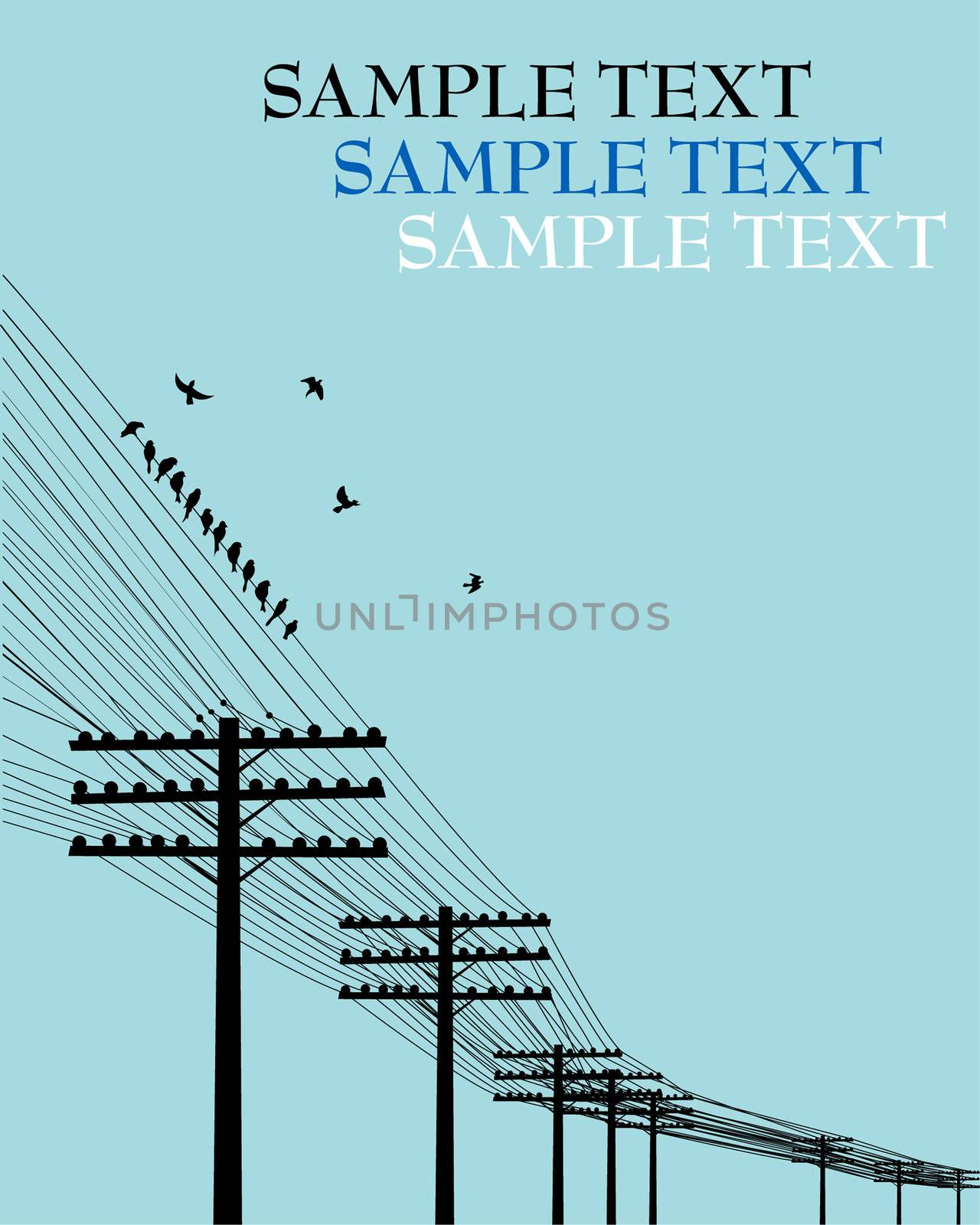 Electricity poles background and birds