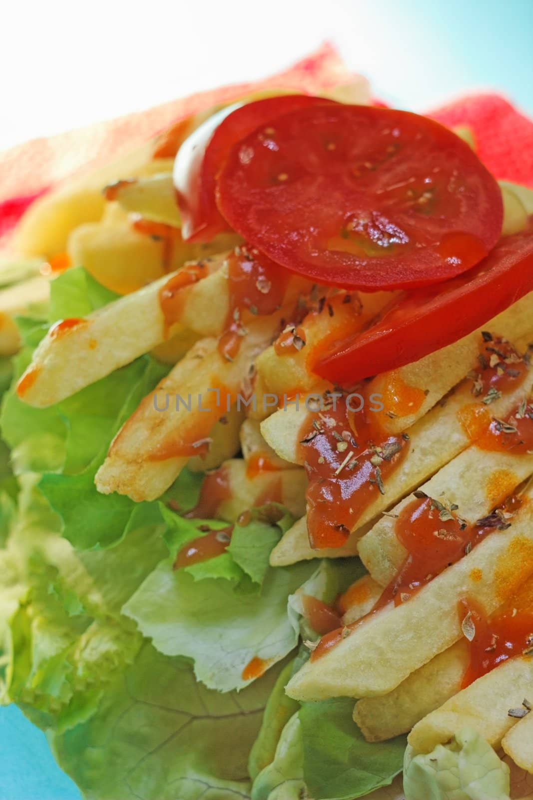 Fried potato portion with green salad and tomato slices covered with ketchup and spices