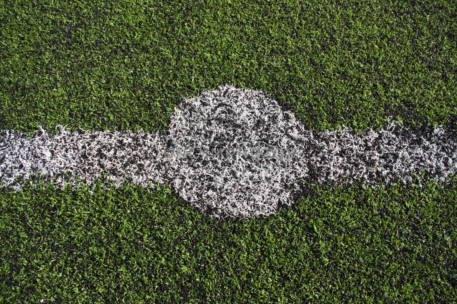 center line of a soccer grass field 