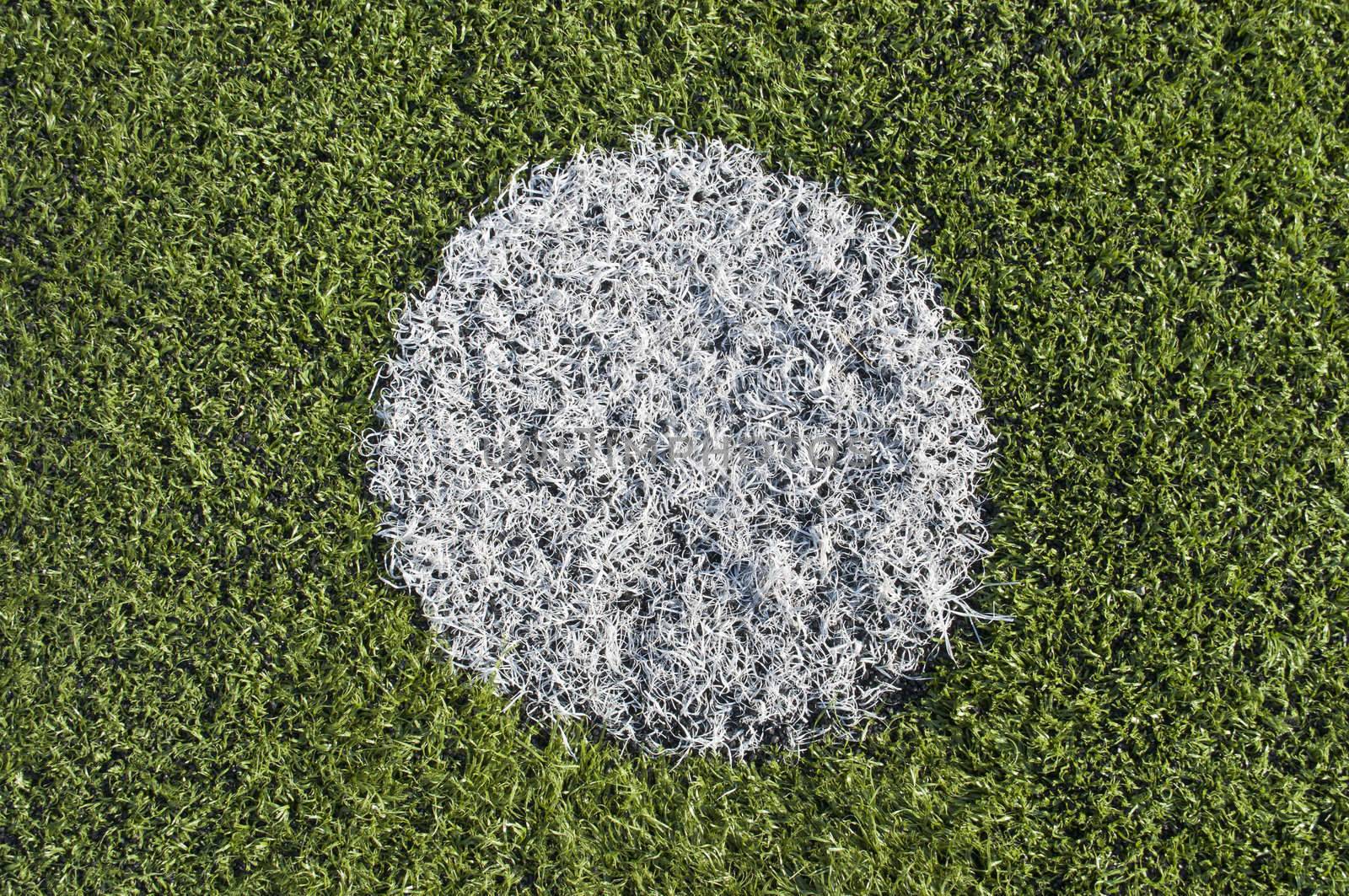 Soccer penalty kick on plastic grass