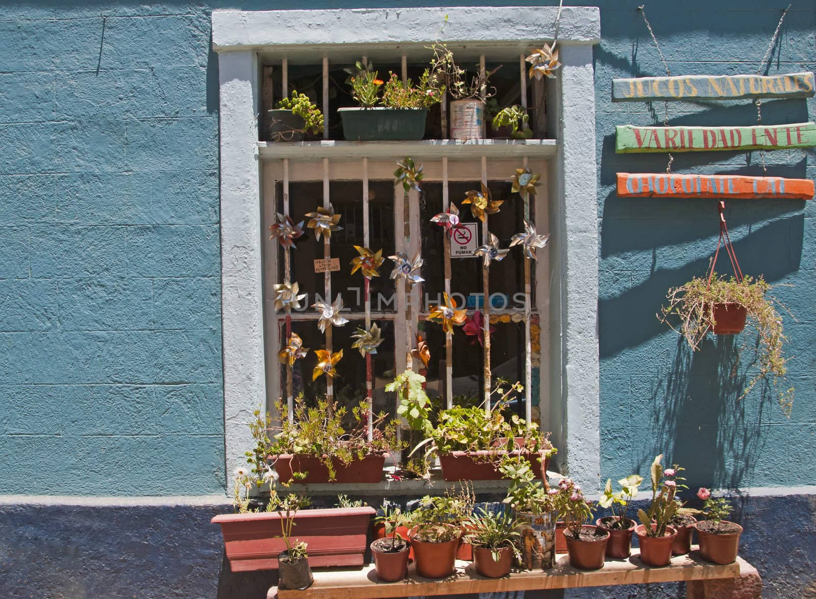 Cafe window in Valpariso, Chile