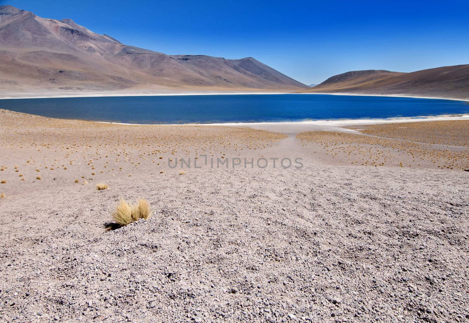 Laguna (Lake) Miscanti in the Chilean desert, over 4000m above sea level.