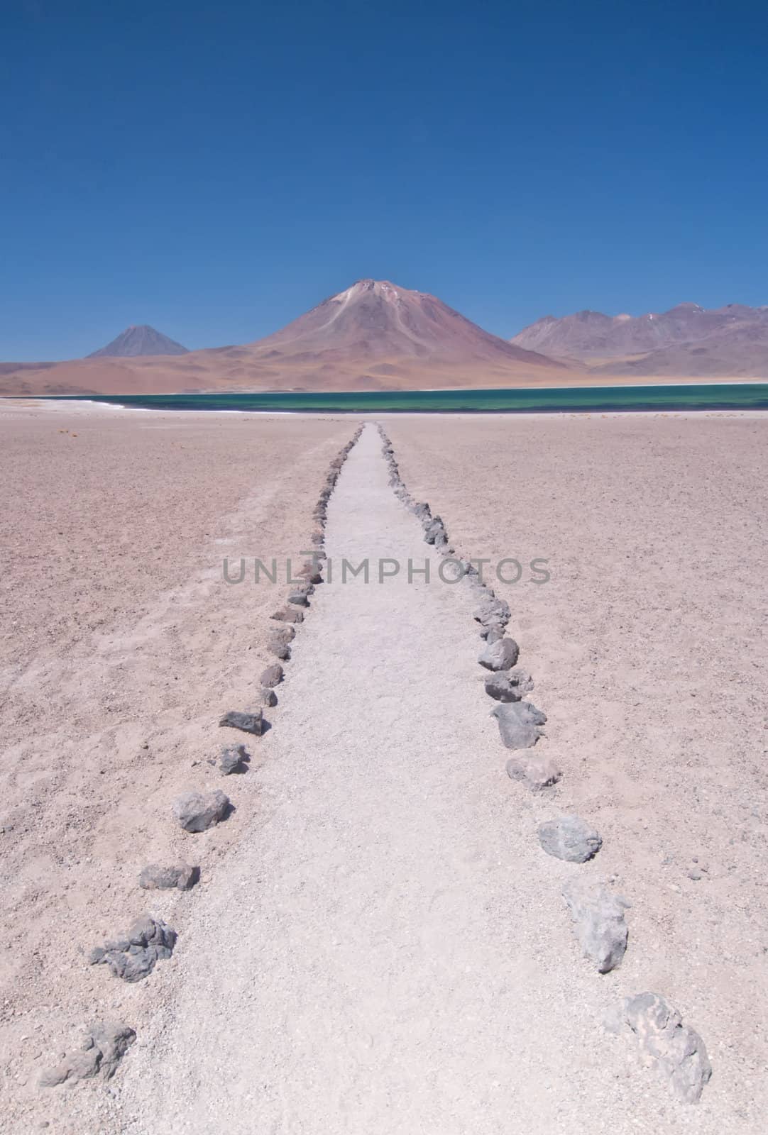 Path leading to Laguna (Lake) Miscanti in the Chilean Desert, 4000m above sea level.
