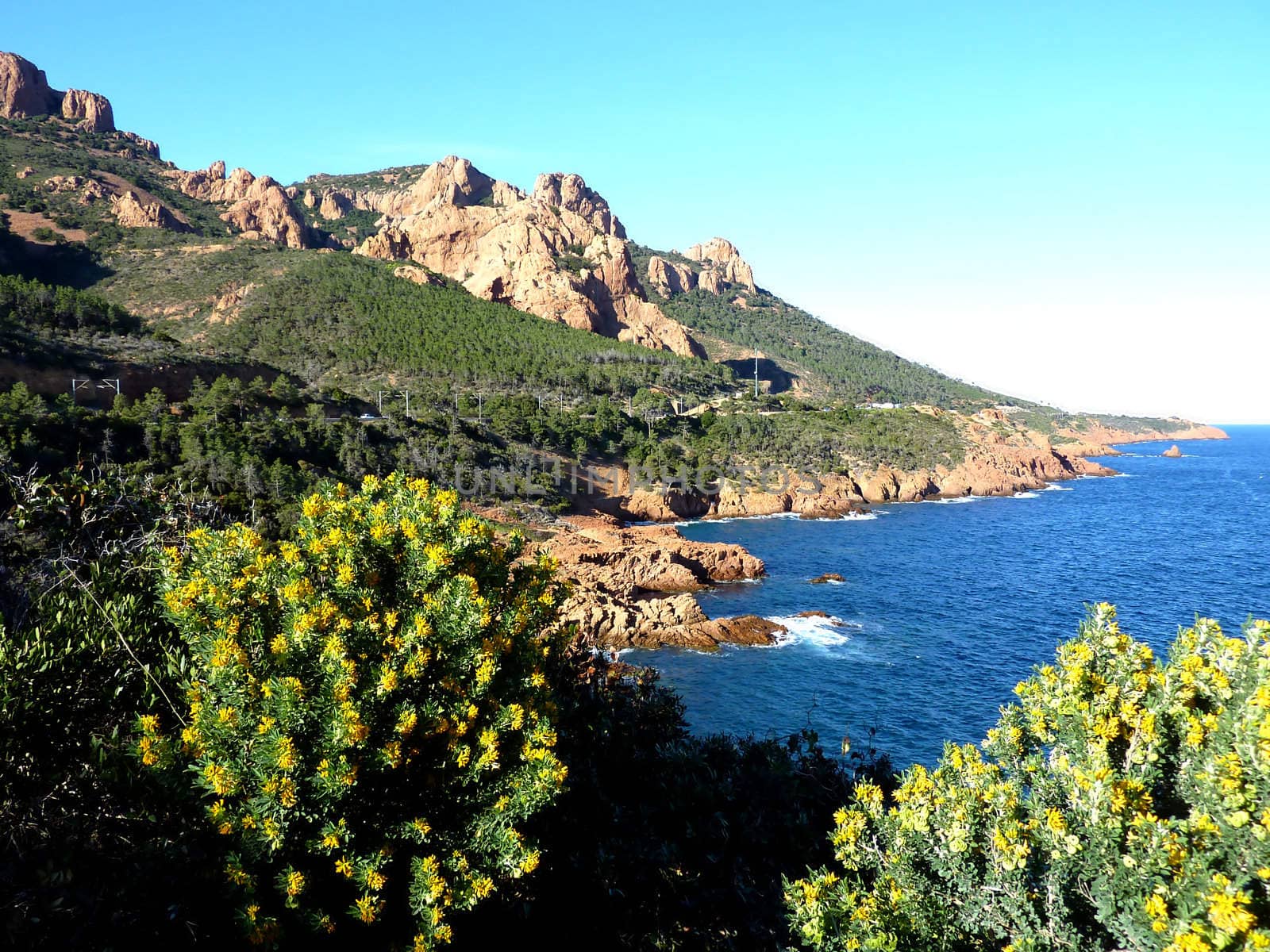 Esterel massif, south of France, and plants and vegetation around, by beautiful weather
