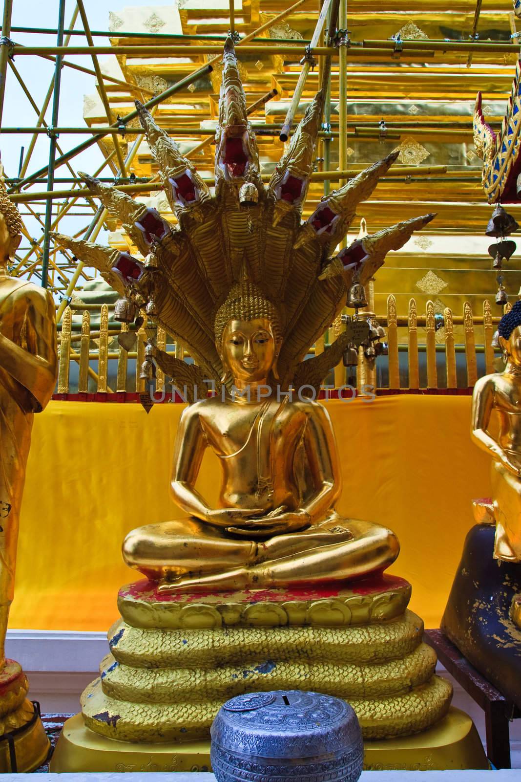 Buddha image with naga cover by criminalatt