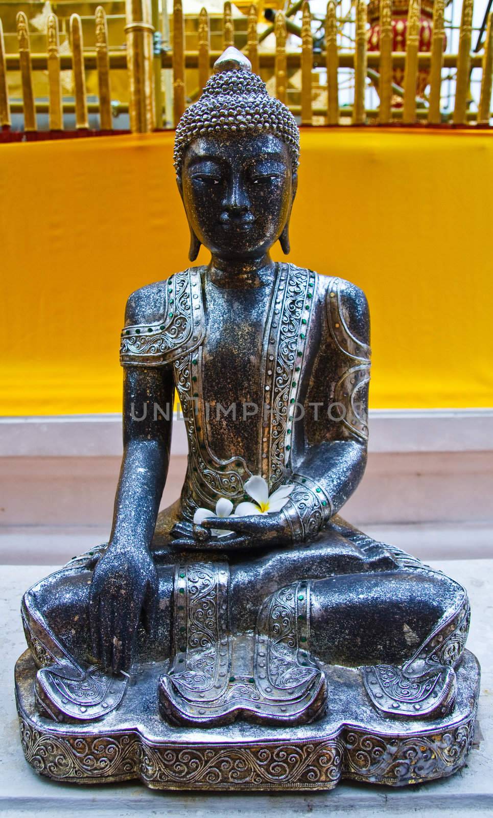 Shiny black Buddha image