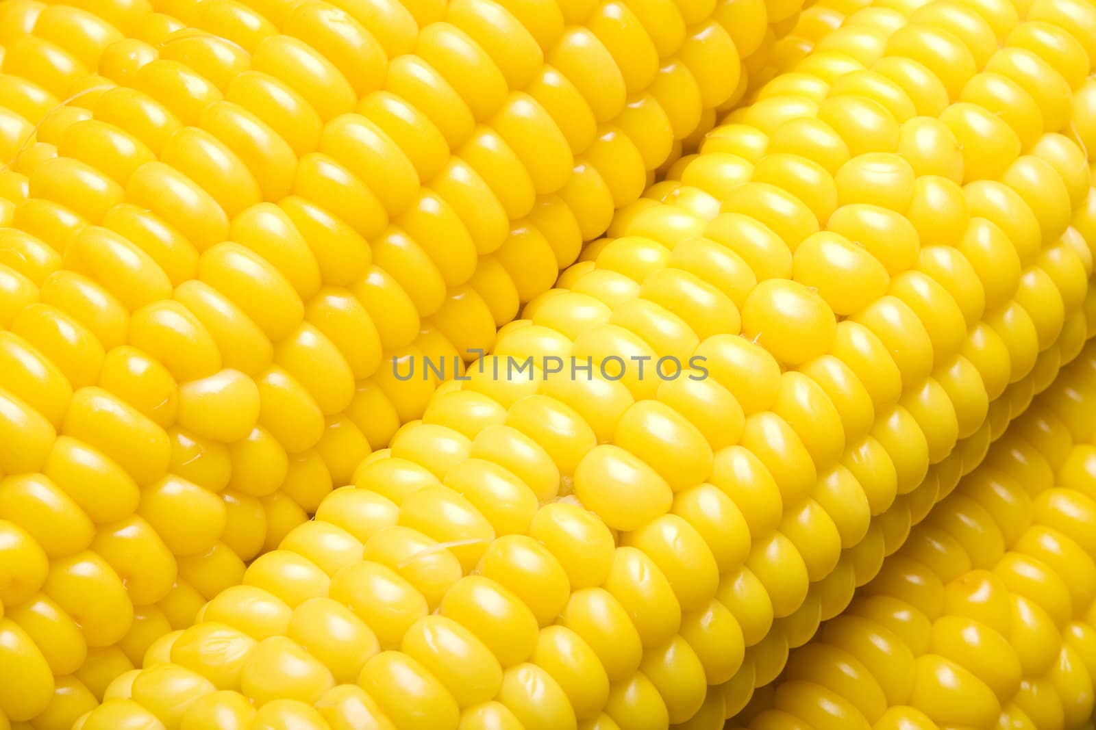 Sweet corn