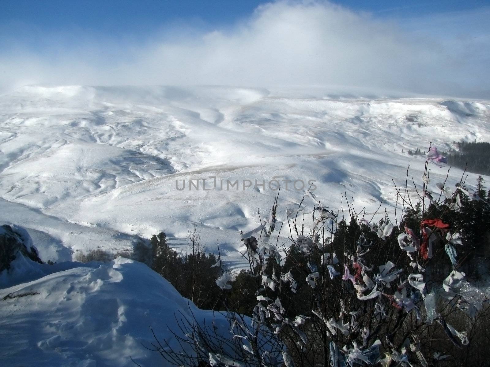 winter; alpine meadow, plateau, wood, snow; relief, nature; landscape; frost; journey; mountain type; sky; background;  beauty; Caucasus, spine, panorama