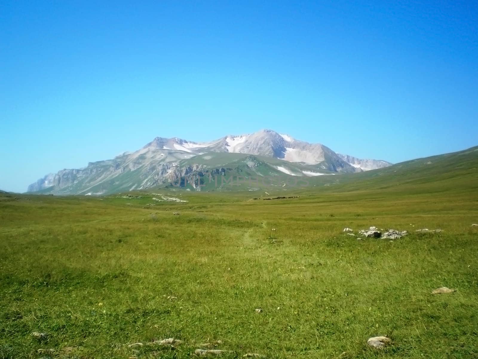 Mountains, alpine meadow, nature, panorama, landscape, meadow, field, verdure, sky, beauty, pasture, game reserve, Caucasus, tourism, journey, glacier, summer