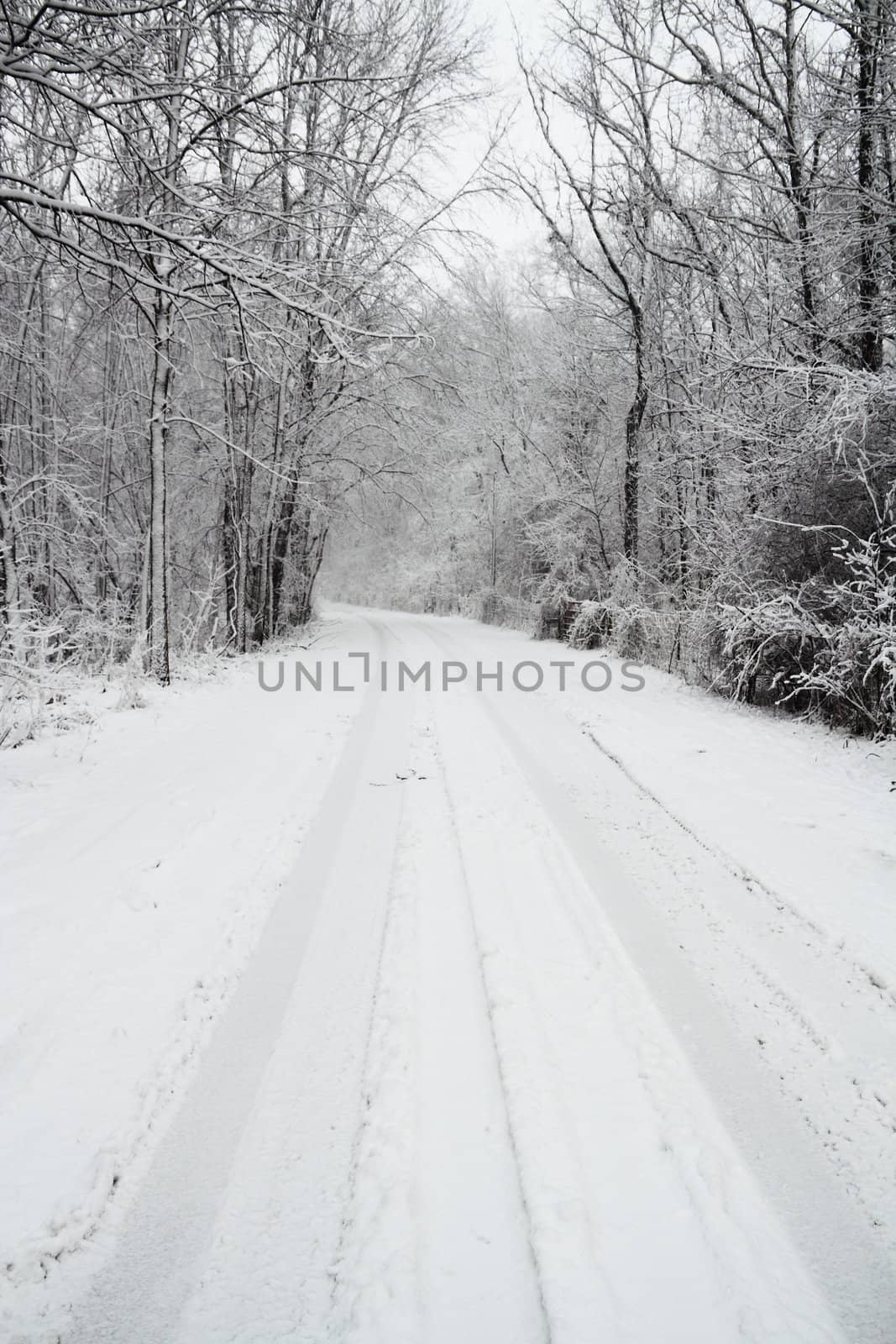 Snow Covered Road by jasony00
