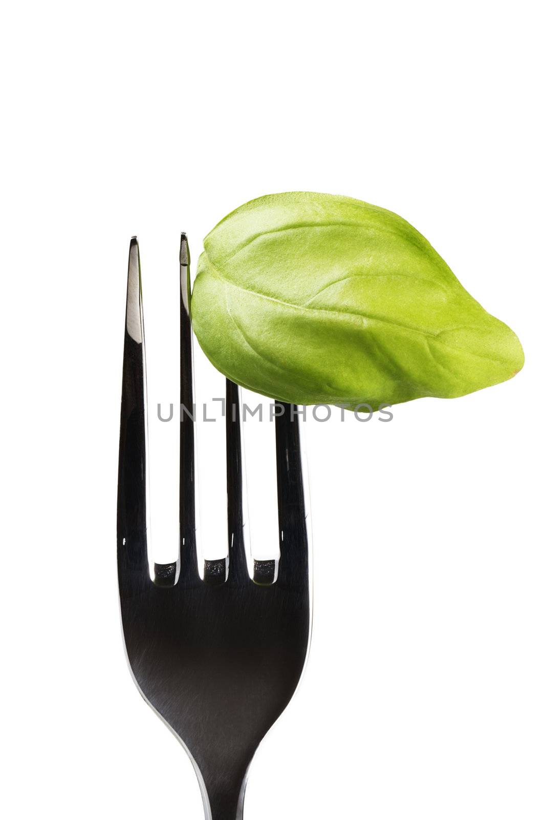 one green basil leaf on fork