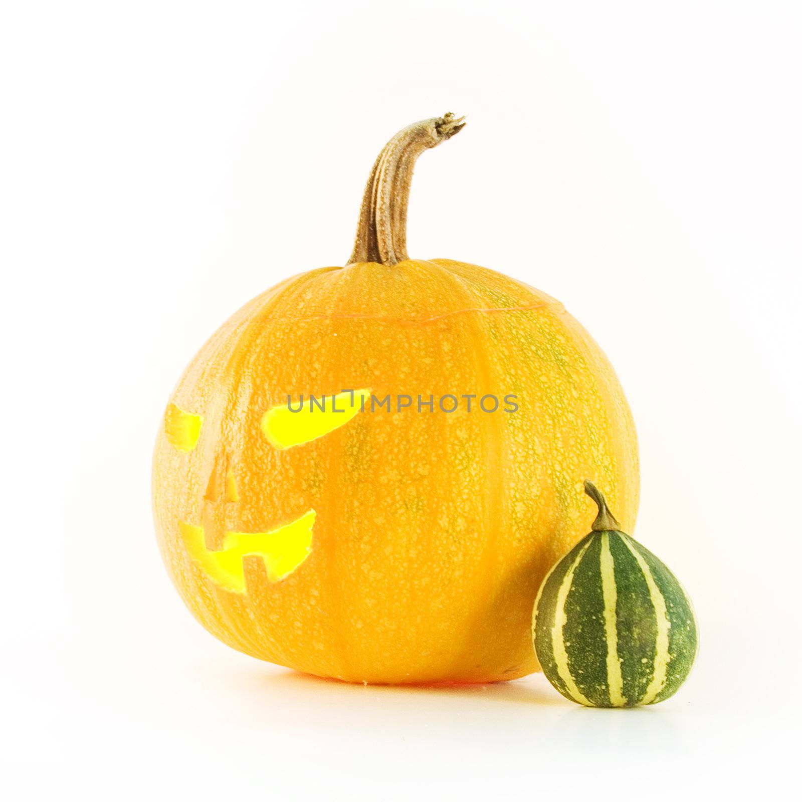 Halloween pumpkin on white background