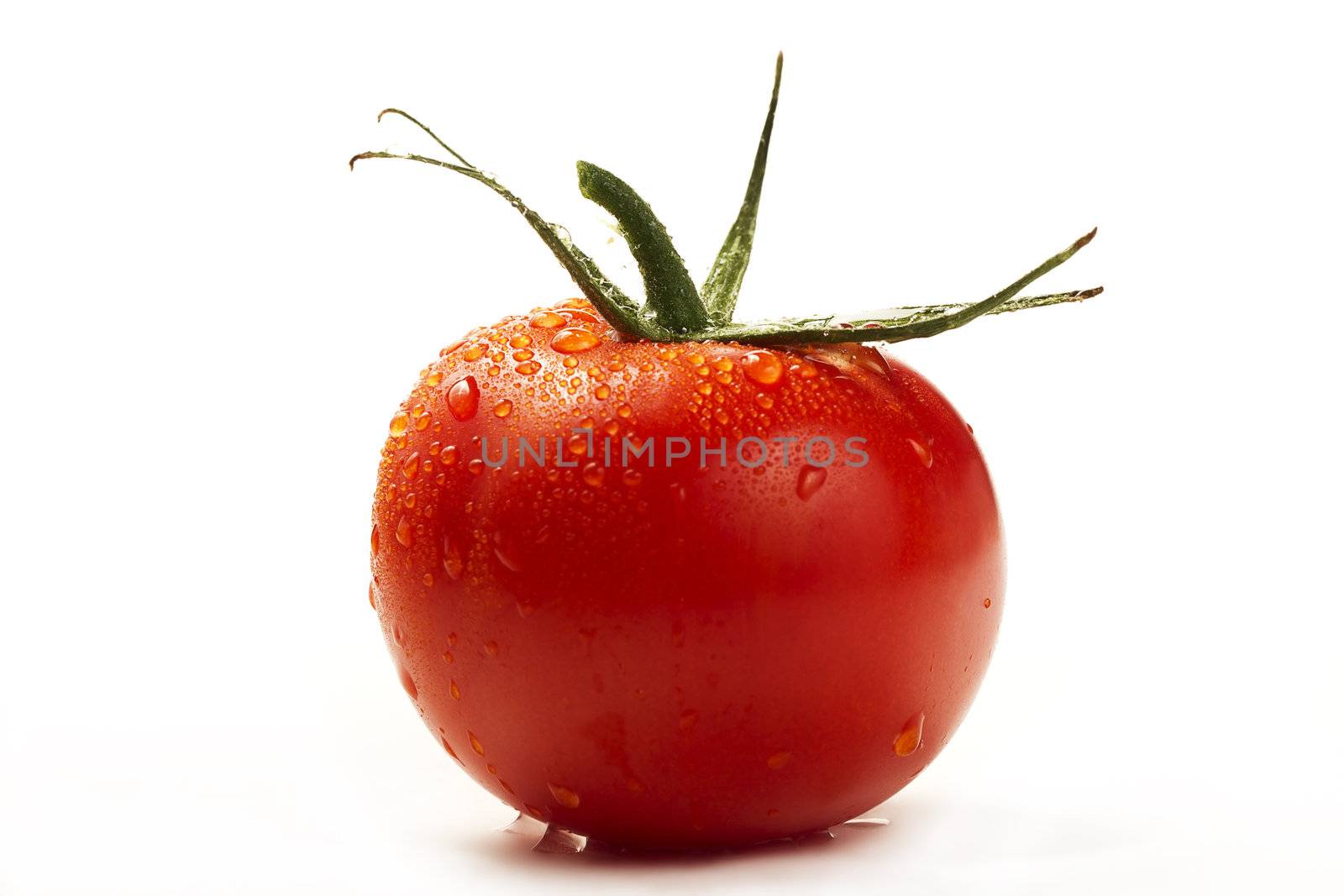 one red wet tomato isolated on white background