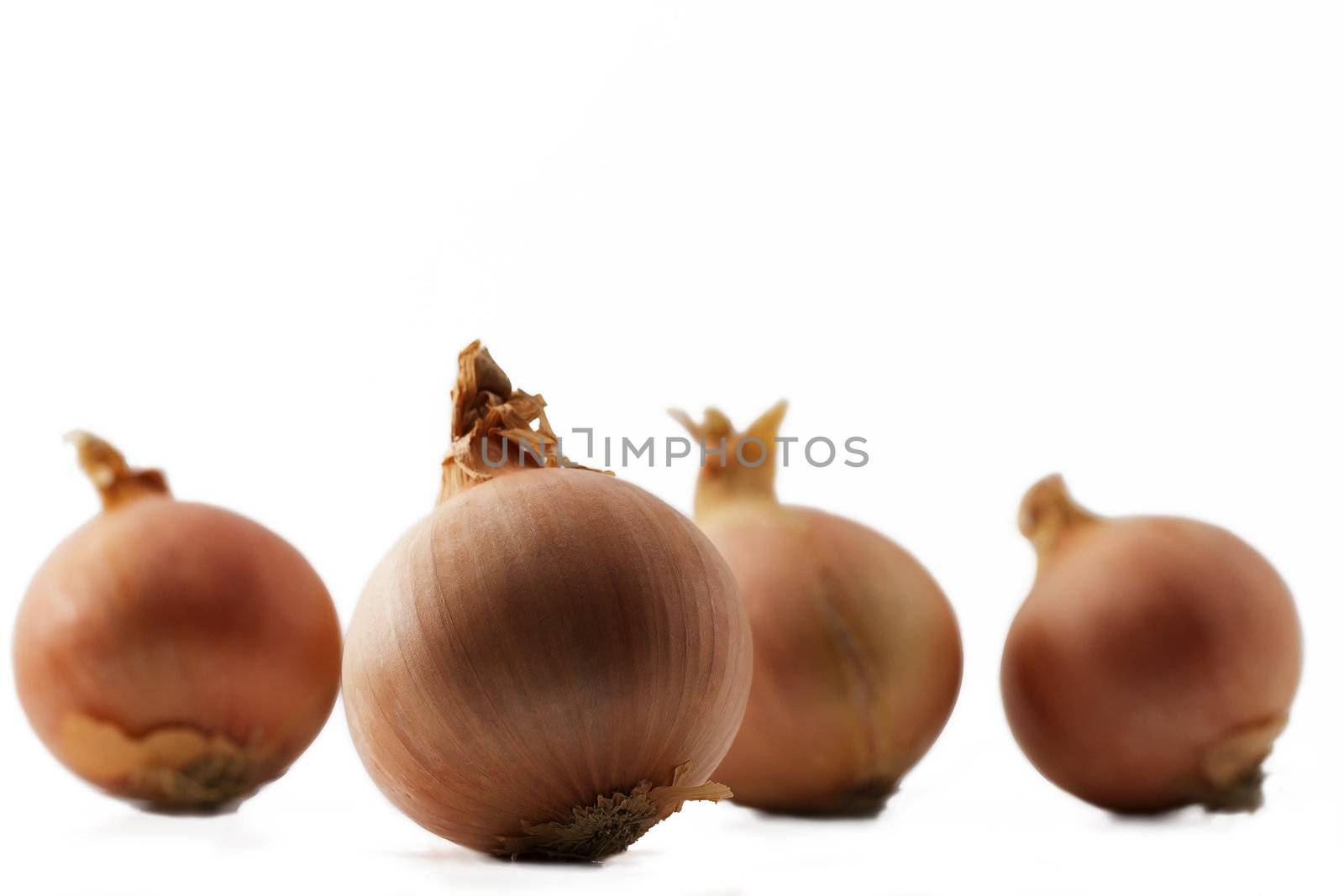 one onion in front of some other onions on white background