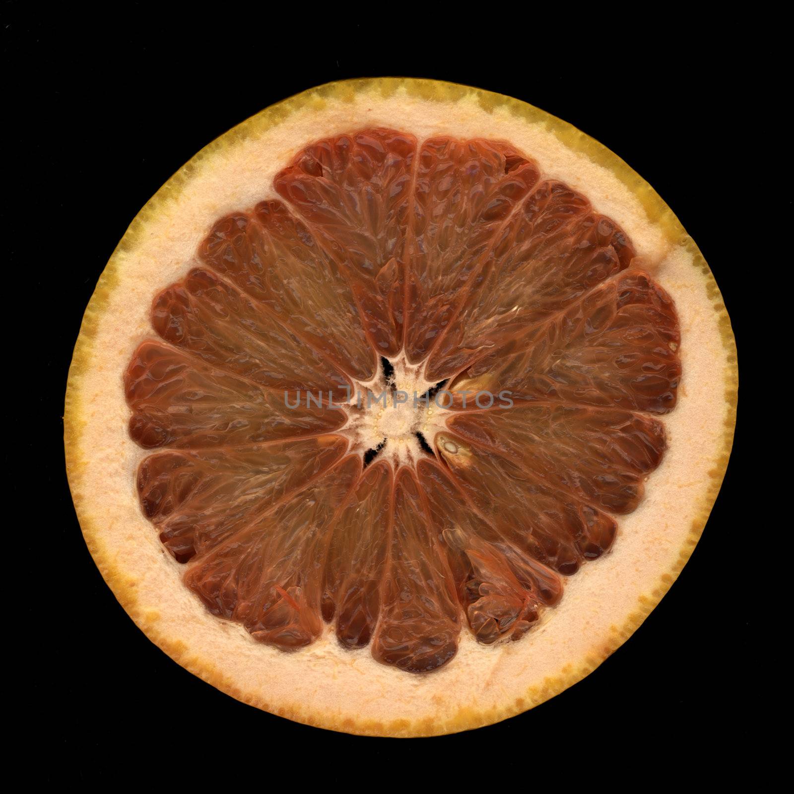 Red grapefruit by stefan_andronache