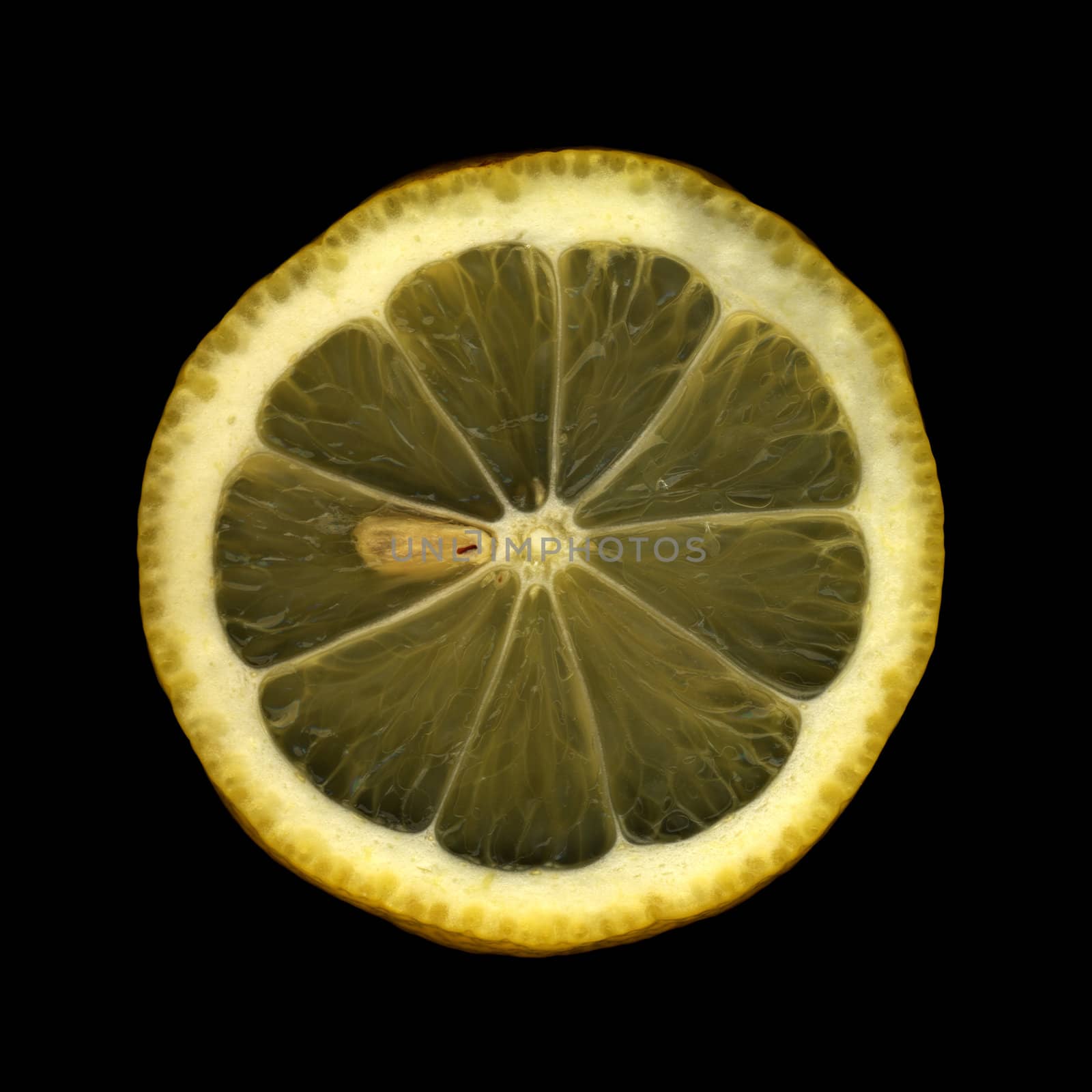 Lemon by stefan_andronache