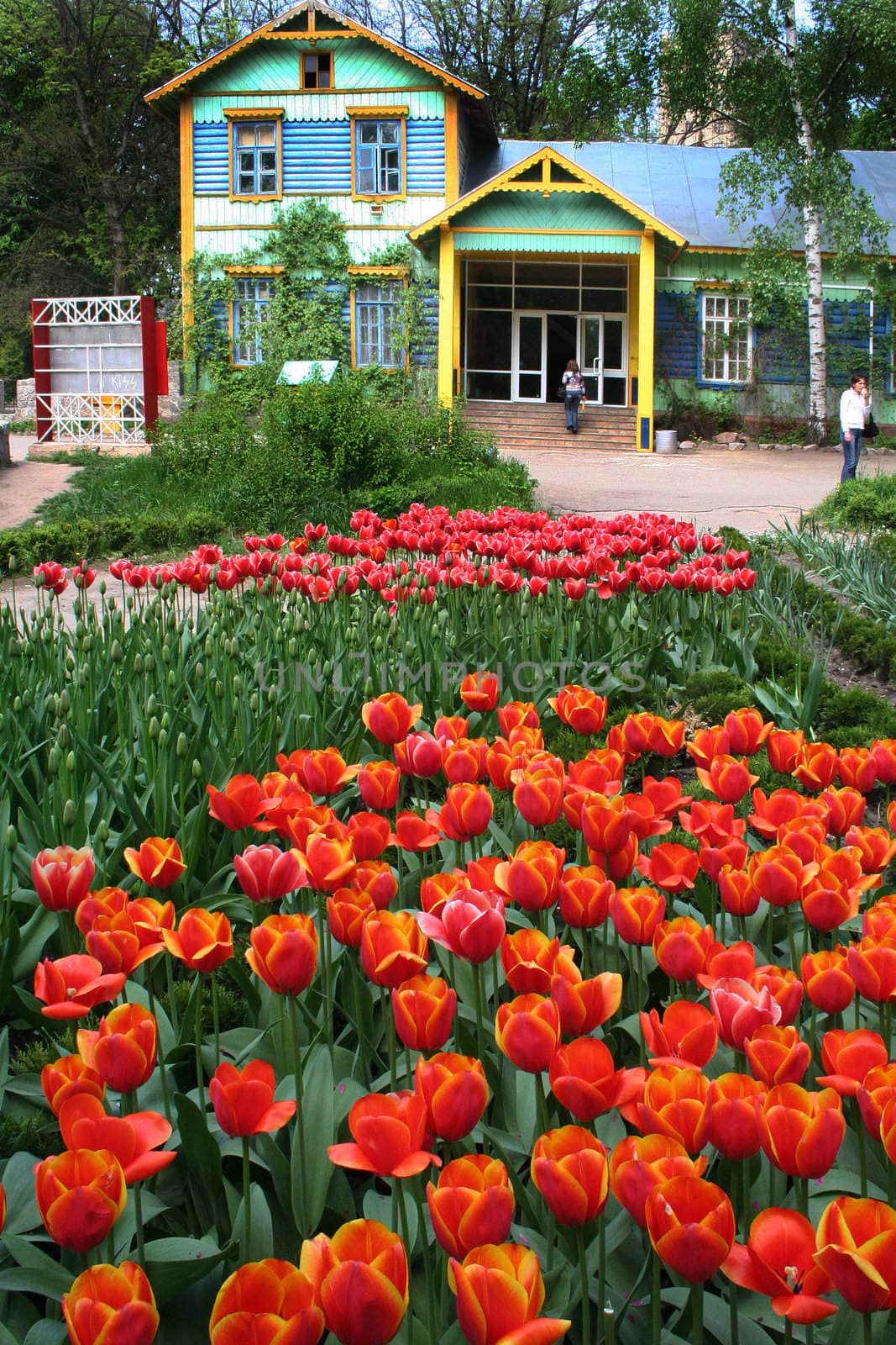 Bed from tulips and the ancient house in the Kharkov zoo Ukraine 15 05 2007