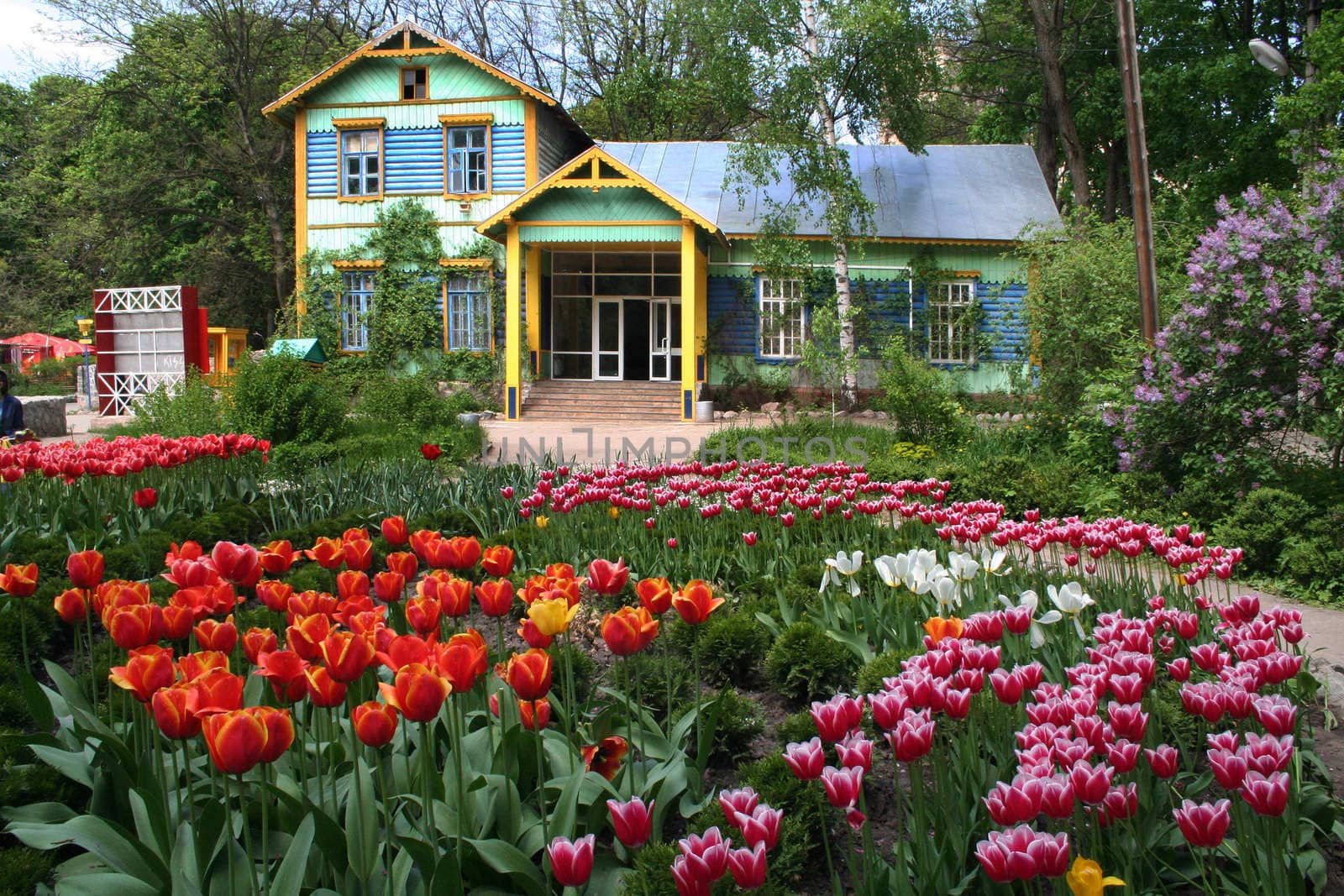 Bed from tulips and the ancient house in the Kharkov zoo Ukraine 15 05 2007